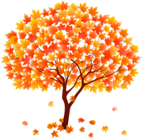 a lovely autumn tree